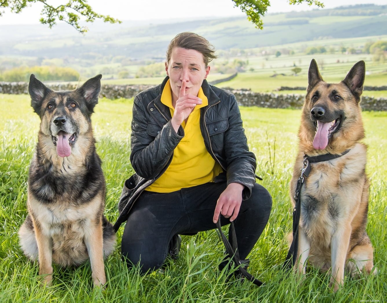 Expert Tips to Calm Your Barking Dog – Advice from Claire Lawrence