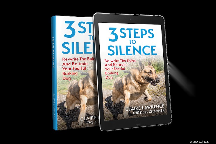 Expert Tips to Calm Your Barking Dog – Advice from Claire Lawrence