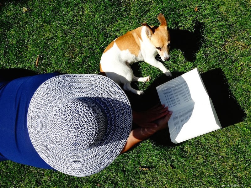 Mindful Living with Your Dog: A 6‑Week Course by Caroline Wilkinson