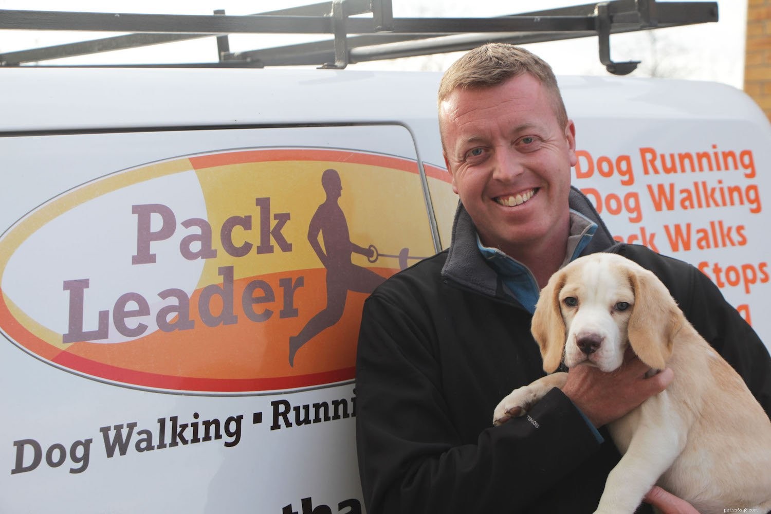 Expert Guide to Raising the Perfect Puppy – Insights from Trainer Dominic Hodgson