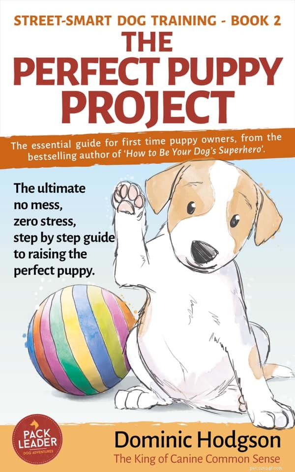 Expert Guide to Raising the Perfect Puppy – Insights from Trainer Dominic Hodgson