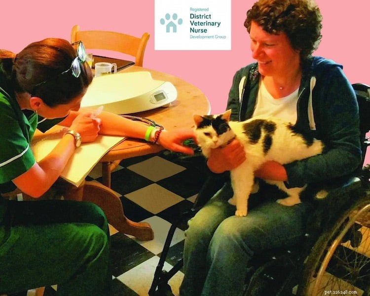 Carla Finzel: Trailblazing District Vet Nurse Revolutionizing At-Home Pet Care