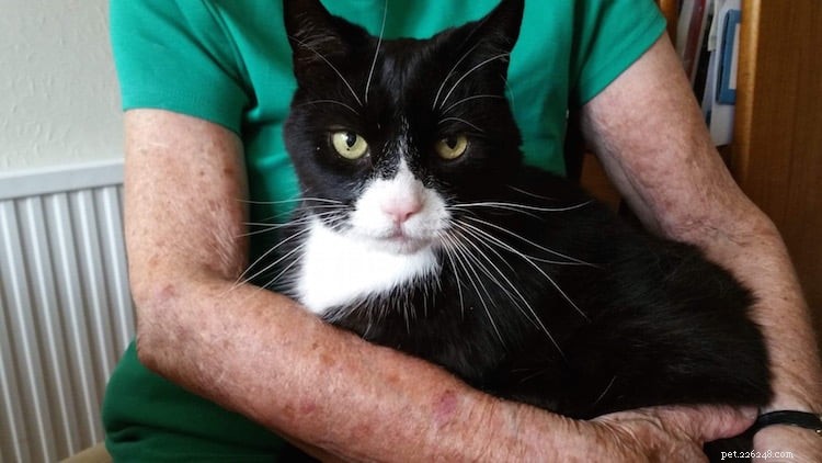 Carla Finzel: Trailblazing District Vet Nurse Revolutionizing At-Home Pet Care