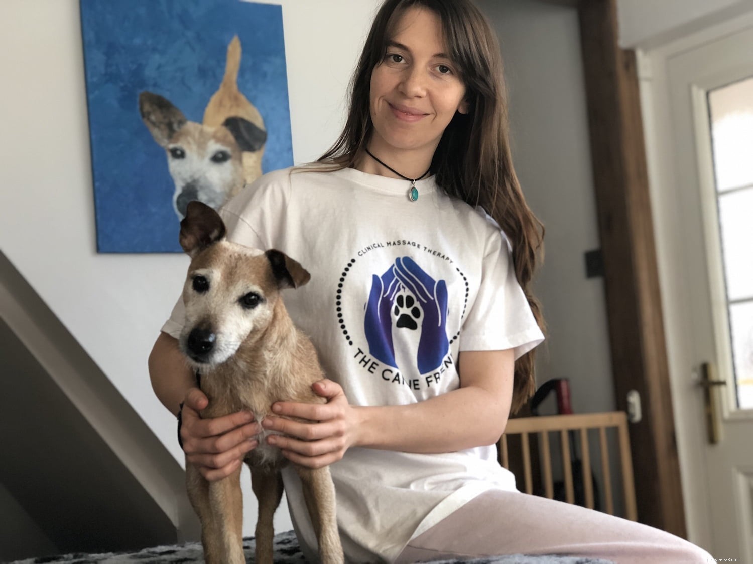 Benefits of Canine Massage Therapy for Your Dog