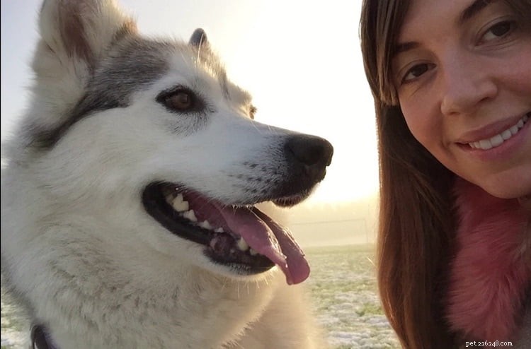 Benefits of Canine Massage Therapy for Your Dog