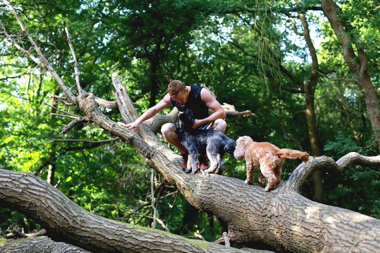 From Dog Walker to Entrepreneur: Milo Royds Turns Passion for Running and Dogs into a Thriving Career