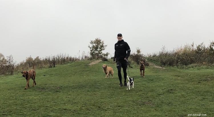 From Dog Walker to Entrepreneur: Milo Royds Turns Passion for Running and Dogs into a Thriving Career