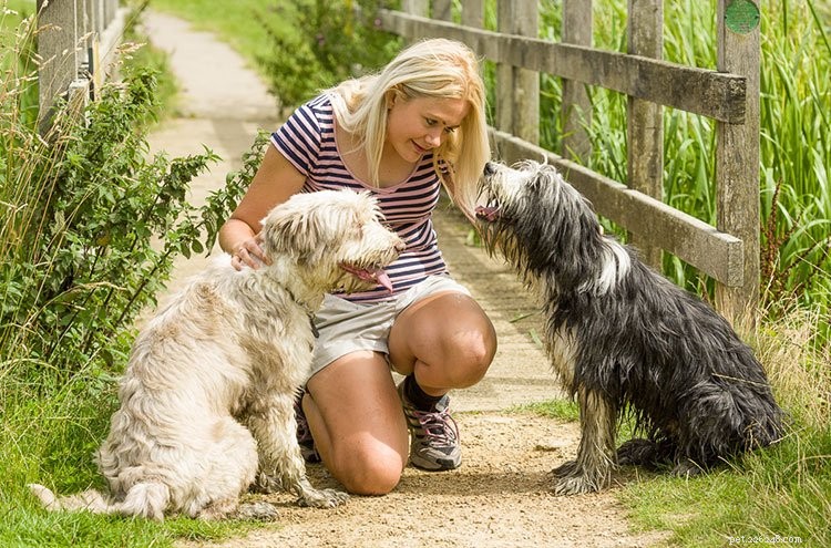 Helen Motteram’s Proven Tips to Calm Anxious Dogs