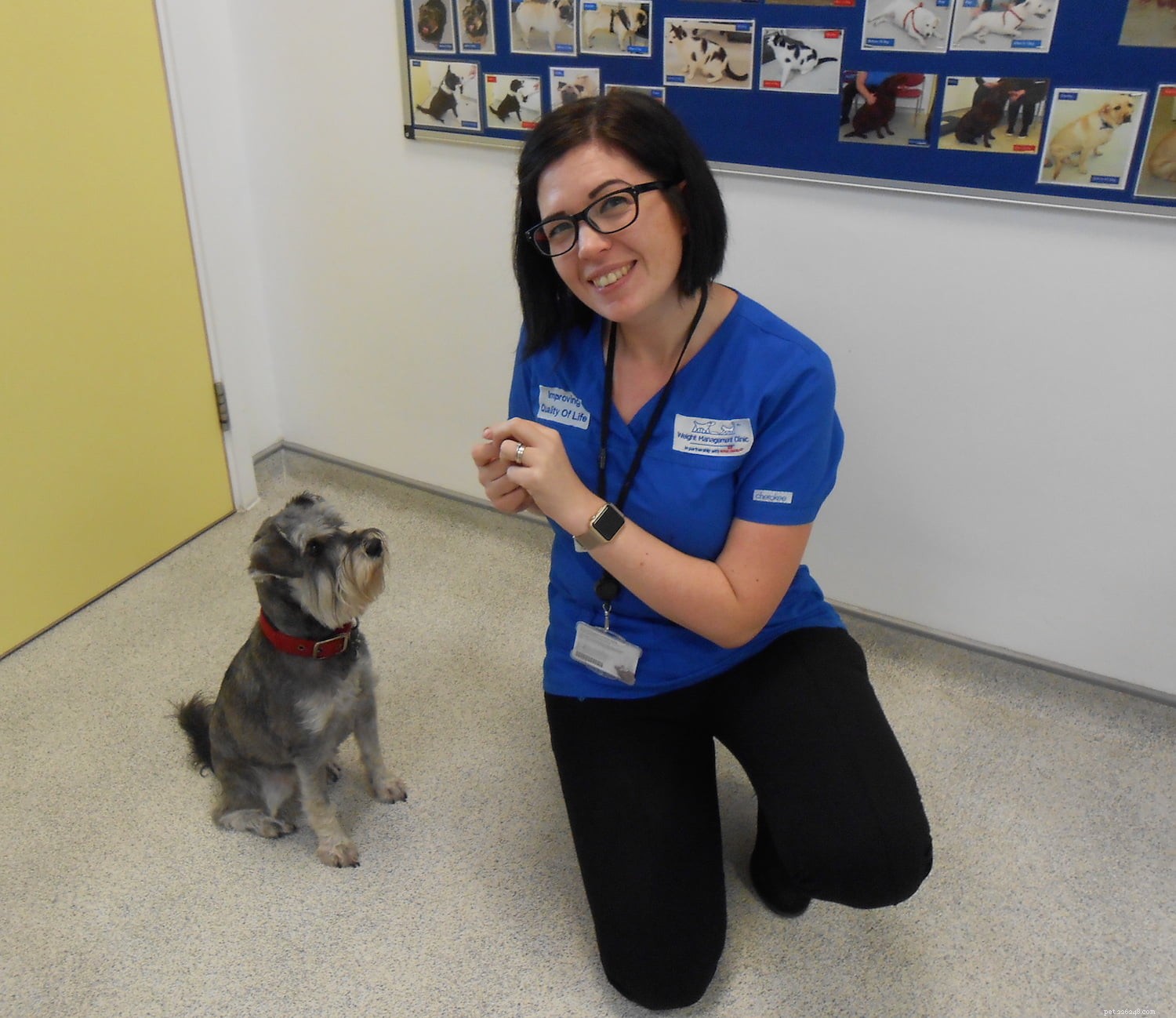 Inside the Royal Canin Weight Management Clinic: Vets Tackling Pet Obesity