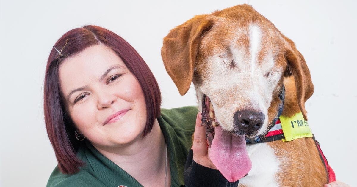 Protect Your Dog’s Vision: Essential Dry Eye Care Tips for Pet Owners