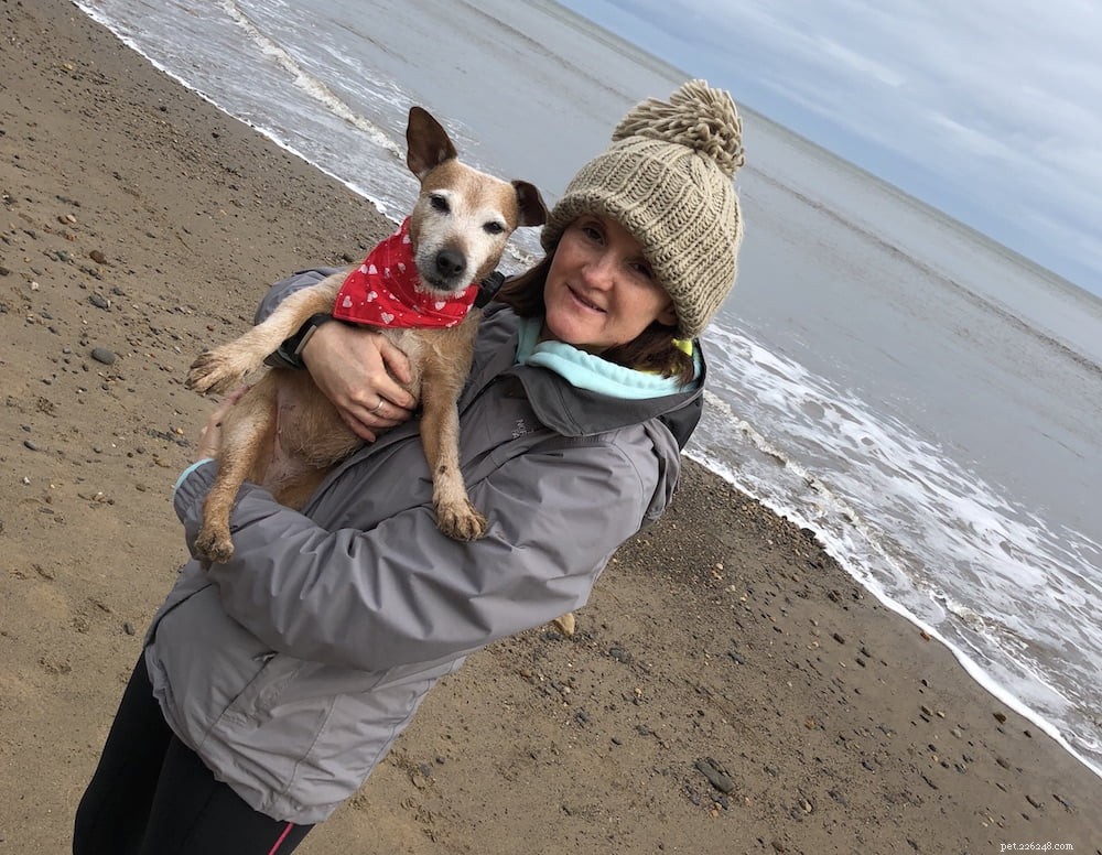 Coping with Canine Cognitive Dysfunction in Senior Dogs: Practical Tips for Owners