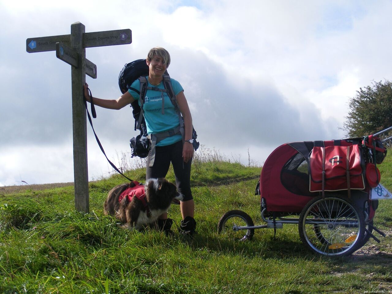Managing Canine Arthritis: 6 Expert Tips from Hannah Capon