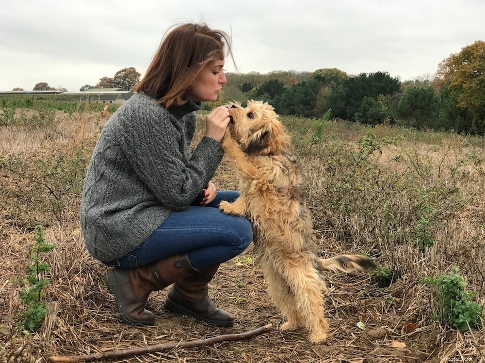 Hybrid Breeders Association Launched to Uphold Ethical Breeding Standards