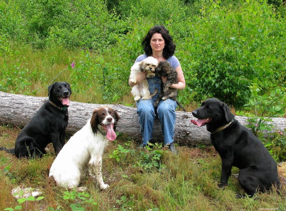 Hybrid Breeders Association Launched to Uphold Ethical Breeding Standards