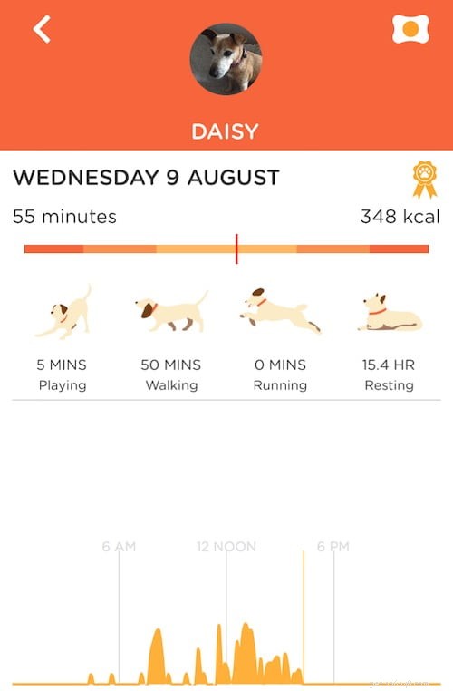 The Proven Secrets to Keeping Your Dog Happy – Insights for National Dog Day