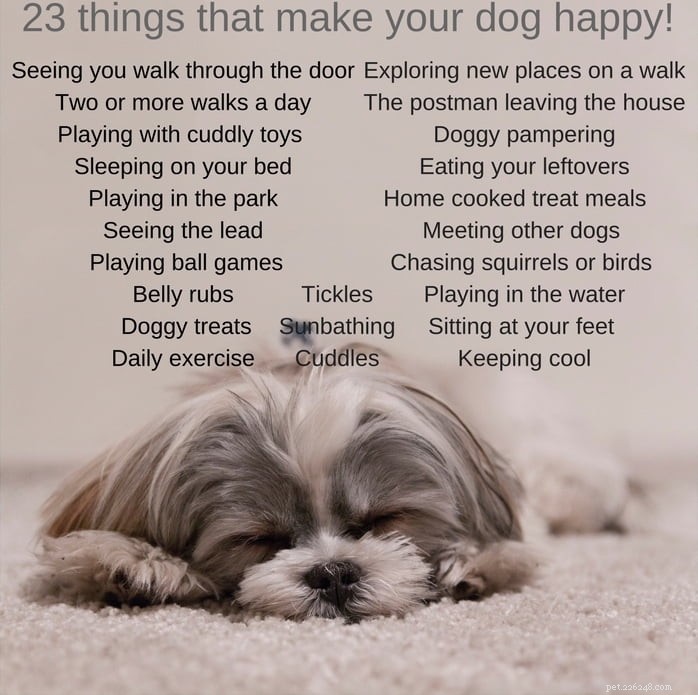 The Proven Secrets to Keeping Your Dog Happy – Insights for National Dog Day