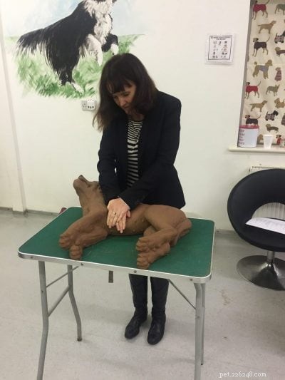 Expert First‑Aid Tips for Dog Owners from Veterinary Nurse Rachel Bean
