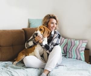 Why Do Dogs Take Over Your Seat? Understanding Their Seat-Stealing Behavior
