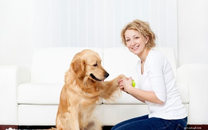 Enjoy Quality Time: 10 Engaging Indoor Activities for You and Your Dog