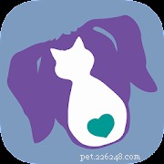 Top Pet Care Apps for New Cat & Dog Owners