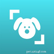 Top Pet Care Apps for New Cat & Dog Owners