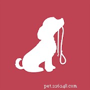 Top Pet Care Apps for New Cat & Dog Owners