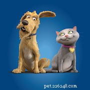 Top Pet Care Apps for New Cat & Dog Owners
