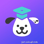 Top Pet Care Apps for New Cat & Dog Owners