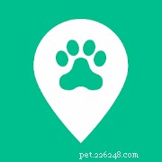 Top Pet Care Apps for New Cat & Dog Owners