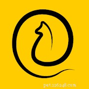 Top Pet Care Apps for New Cat & Dog Owners