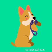 Top Pet Care Apps for New Cat & Dog Owners