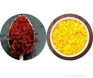 Can Dogs Safely Eat Yellow Rice? A Quick Guide for Pet Owners