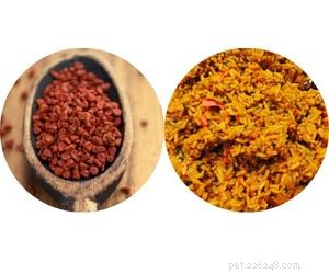 Can Dogs Safely Eat Yellow Rice? A Quick Guide for Pet Owners