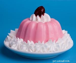 Is Pudding Safe for Dogs? A Guide to Treating Your Canine Friend