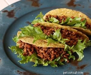 Are Tacos Safe for Dogs? A Guide to Feeding Your Furry Friend