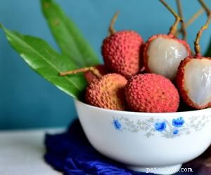 Can Dogs Safely Enjoy Lychee? A Guide for Pet Owners
