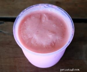 Can Dogs Eat Guava? Safe Tips & Health Benefits