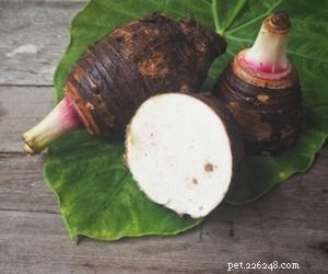 Is Taro Root Safe for Dogs? A Guide to Feeding Your Canine Safely