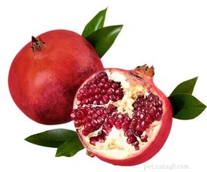 Is Pomegranate Safe for Dogs? Benefits, Risks, and Feeding Tips