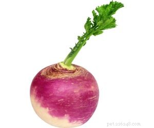 Are Turnips Safe for Dogs? Health Benefits & Feeding Tips