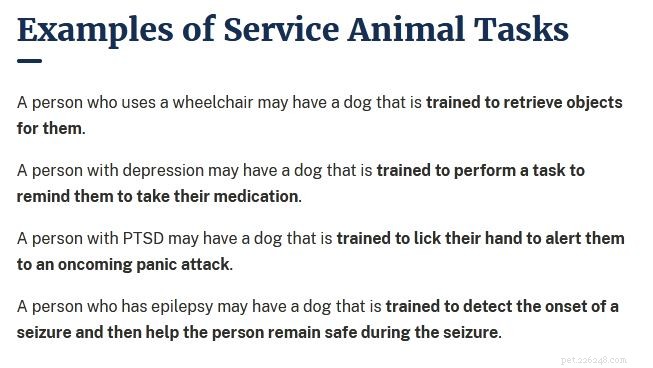 Top Service Dog Breeds for Mobility Assistance