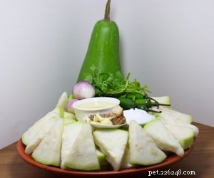 Which Vegetables Are Safe for Your Dog s Daily Diet
