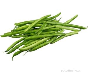 Which Vegetables Are Safe for Your Dog s Daily Diet
