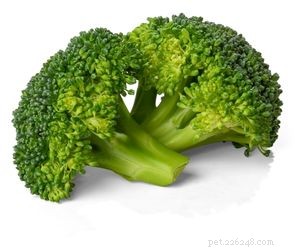 Which Vegetables Are Safe for Your Dog s Daily Diet