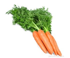 Which Vegetables Are Safe for Your Dog s Daily Diet