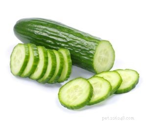 Which Vegetables Are Safe for Your Dog s Daily Diet
