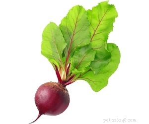 Which Vegetables Are Safe for Your Dog s Daily Diet