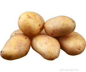 Which Vegetables Are Safe for Your Dog s Daily Diet