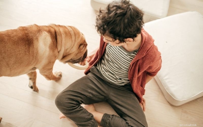 Guide to Adopting a Dog or Puppy: Steps, Tips & Benefits