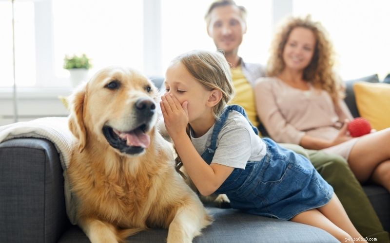 Choosing the Right Pet: A Comprehensive Guide to Popular Animal Types